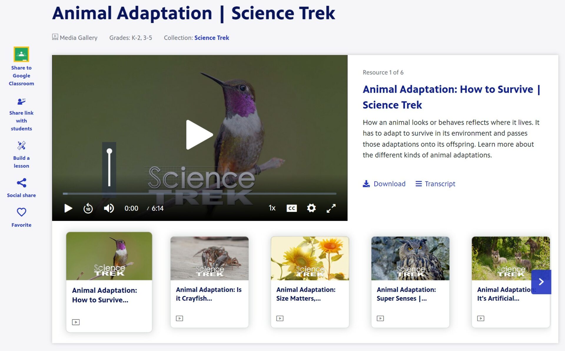 Animal Adaptation: How to Survive | Science Trek