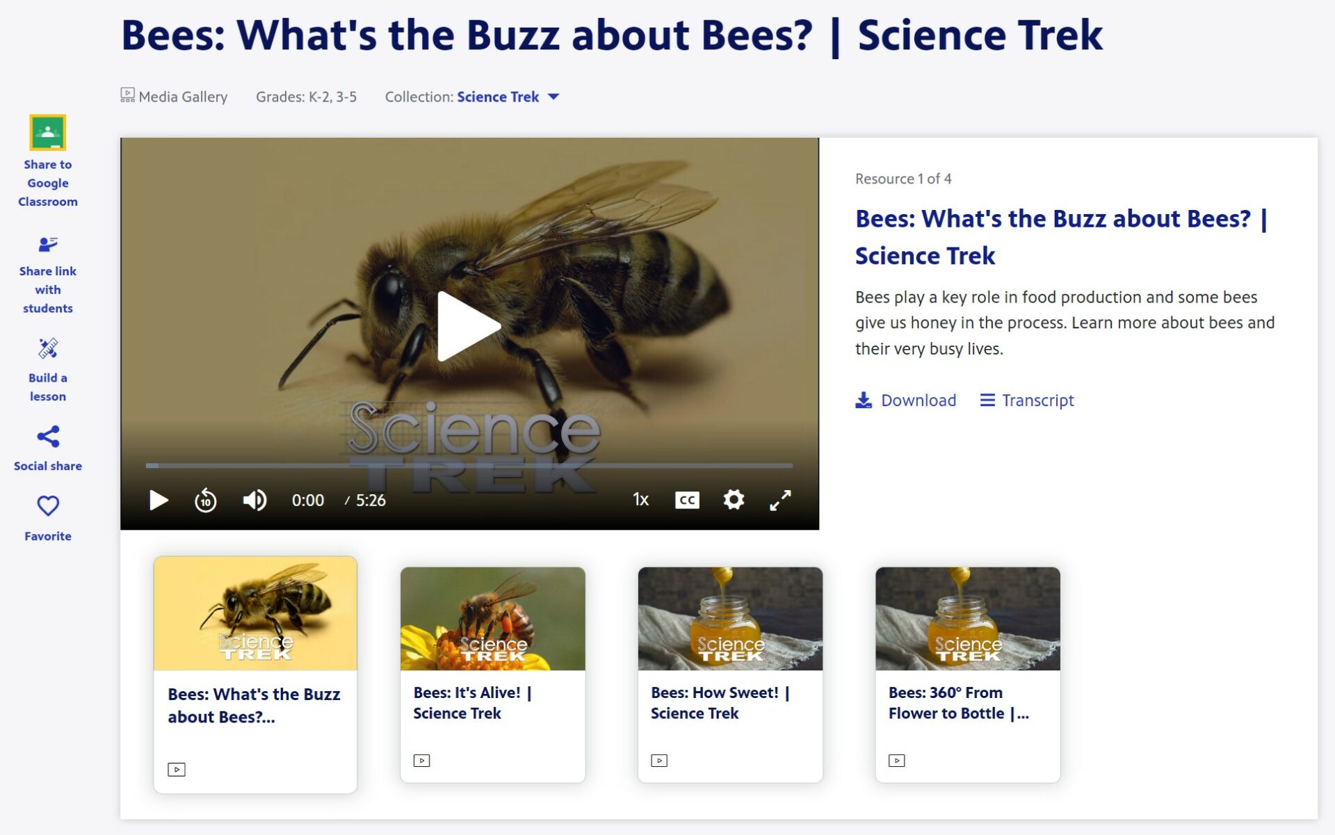 Bees: What's the Buzz about Bees? | Science Trek